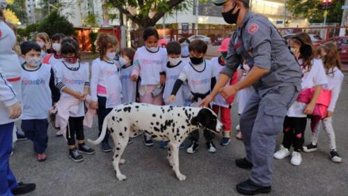 BOMBEIROS-3 (1)